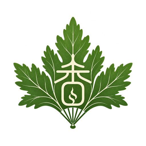 吉姆蕨进销存